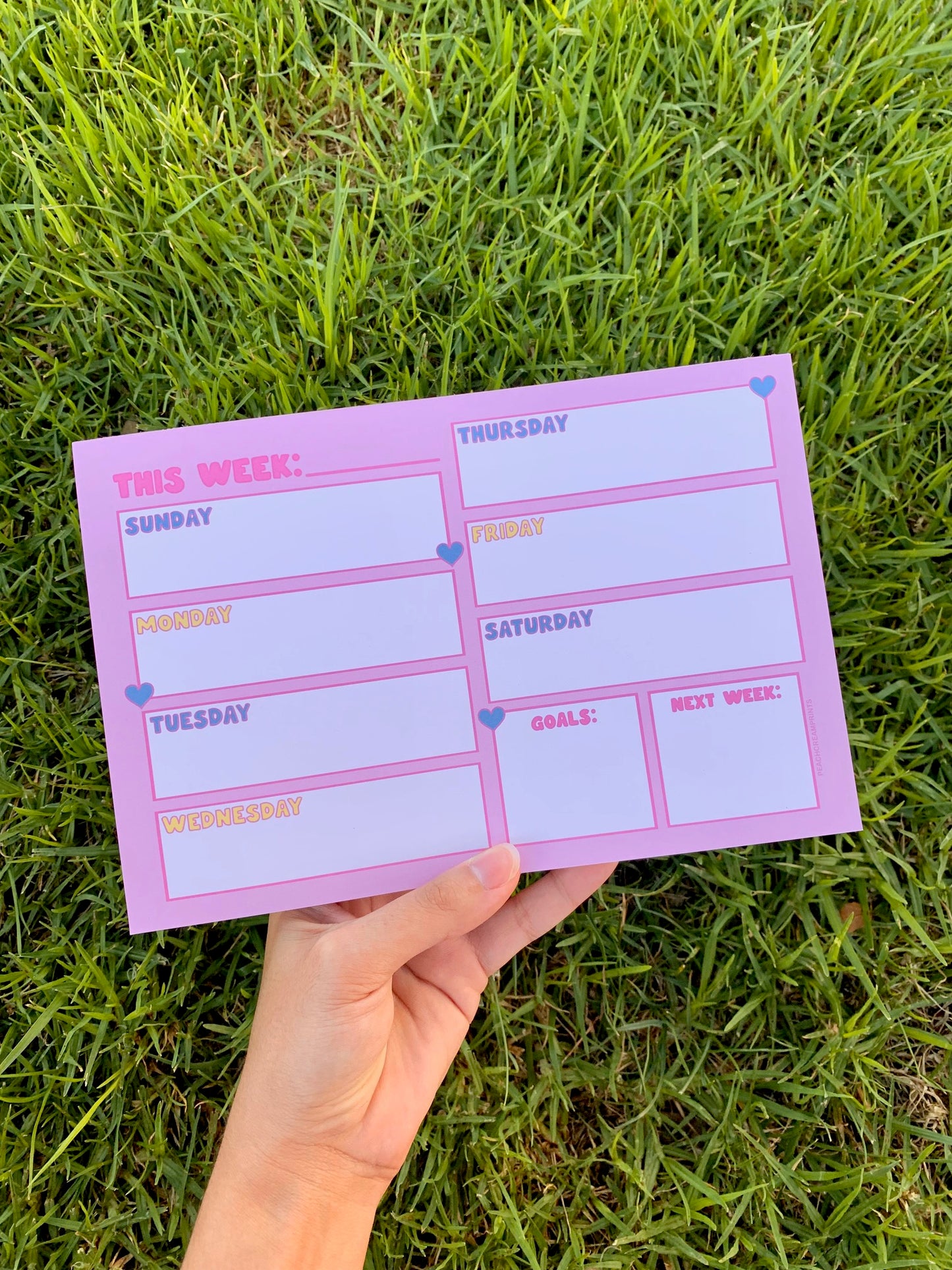 OOPSIE PINK WEEKLY PLANNER NOTEPAD