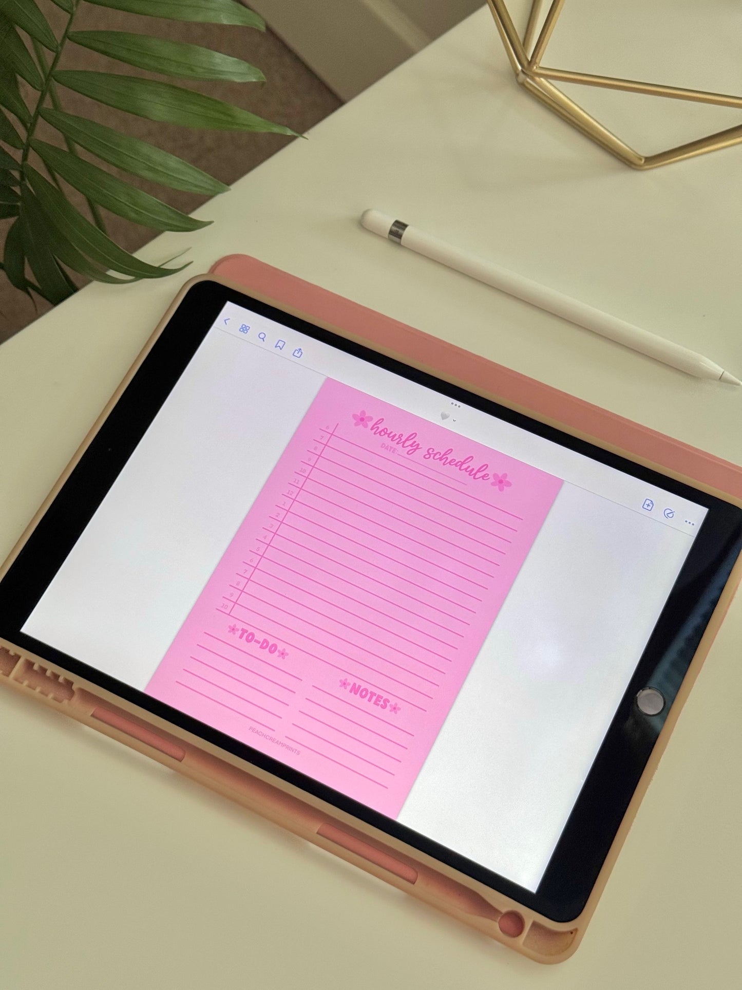 "PRETTY PINK" HOURLY SCHEDULE DIGITAL NOTEPAD