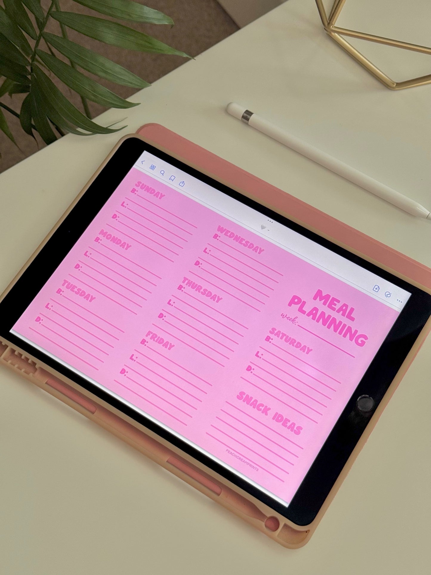 "PRETTY PINK" DIGITAL NOTEPAD TEMPLATE BUNDLE