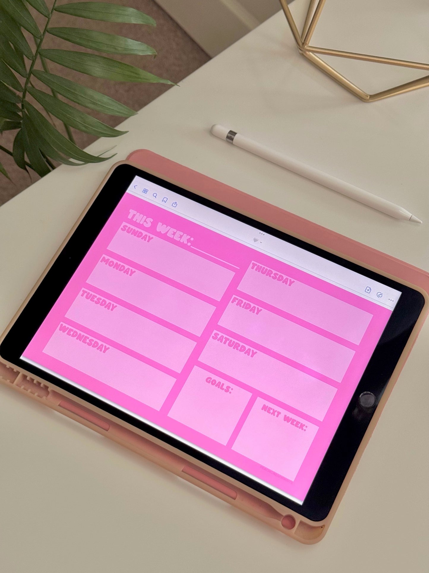 "PRETTY PINK" WEEKLY PLANNER DIGITAL NOTEPAD